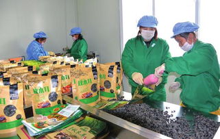 白山 創新創業風鵬正舉，食品互聯網銷售譜寫新篇章